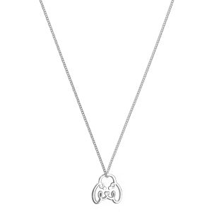 Collar Perro amoroso