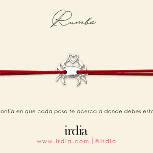 Brazalete Rumbo